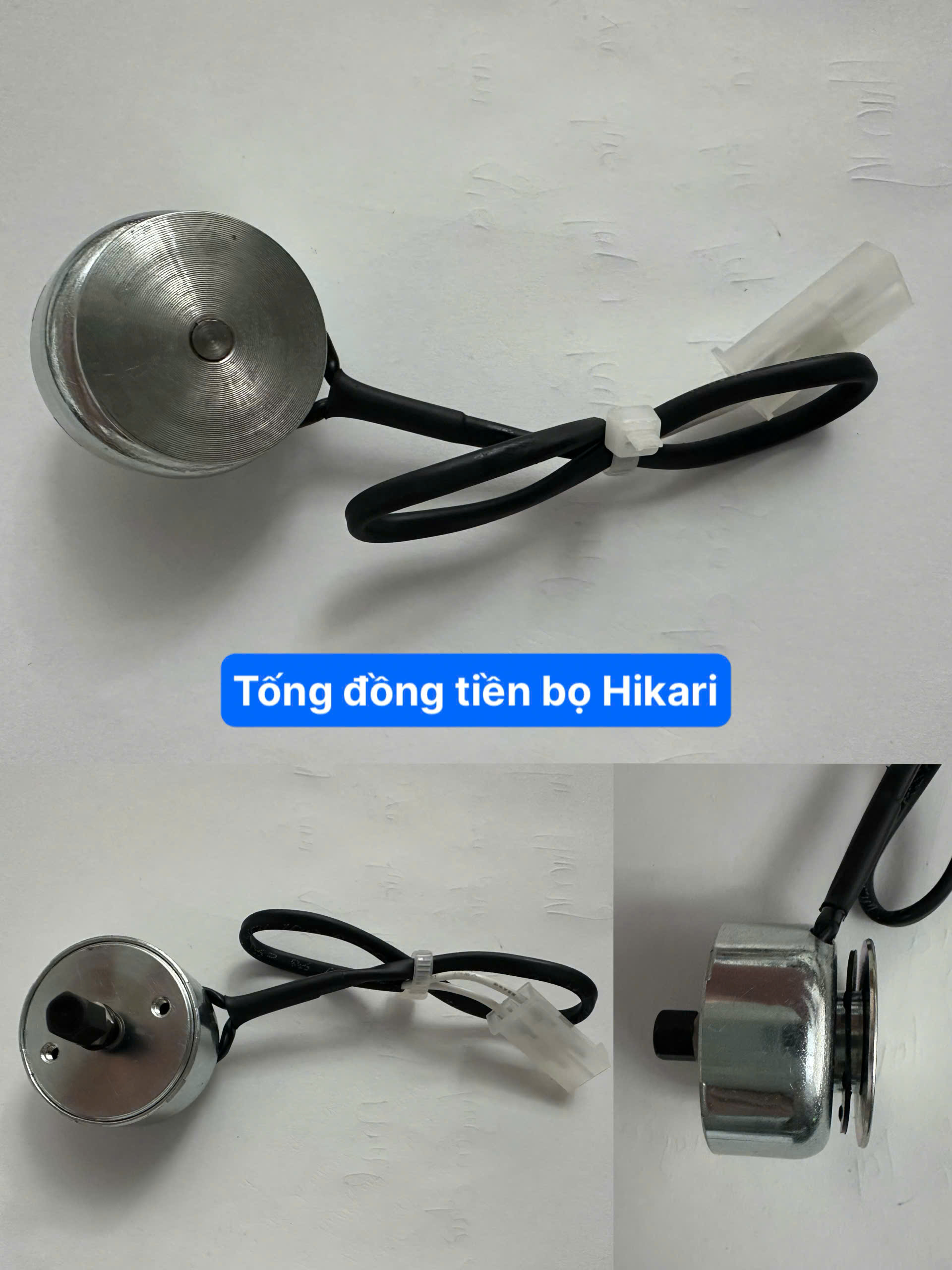 ĐỒNG TIỀN BỌ HIKARI