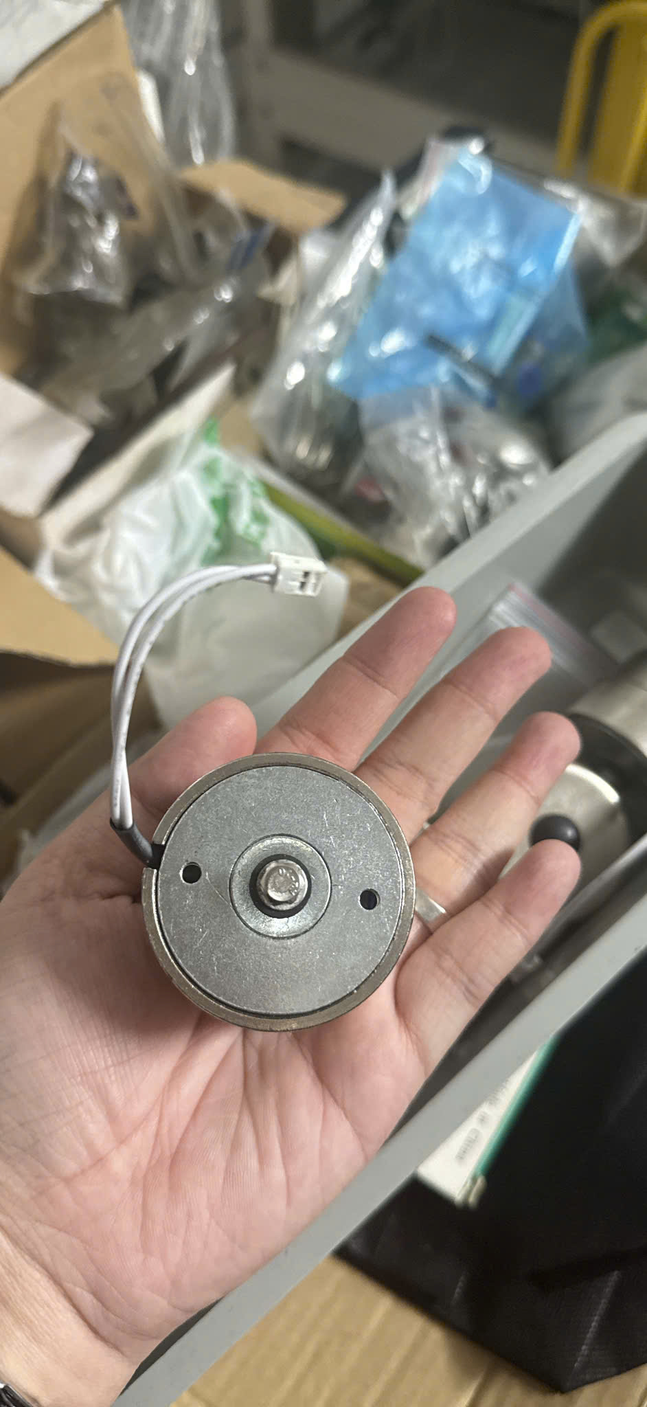 đồng tiền cắt chỉ